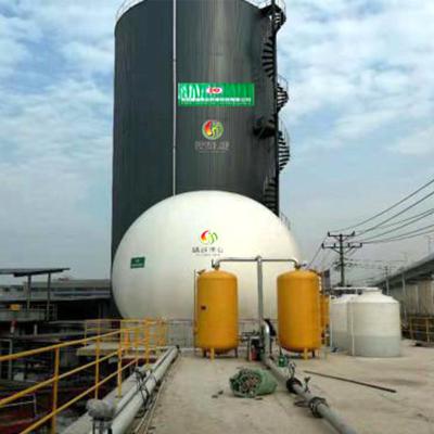 China Construcción de la bio planta de gas comercial en central térmico del biogás en venta