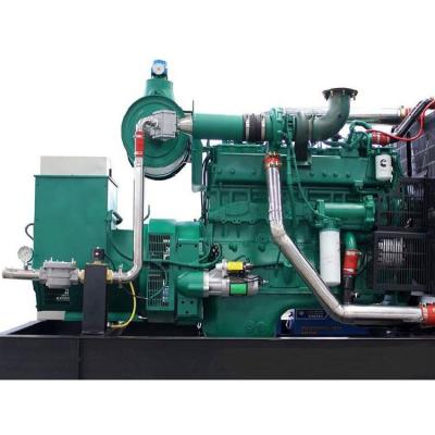 China Customized Power Output Biogas Electricity Generator en venta
