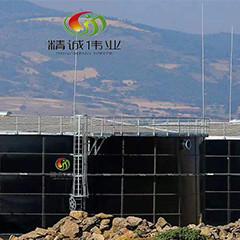 Chine Réacteur anaérobie d'UASB vers le haut du réacteur couvrant de boue anaérobie d'écoulement à vendre