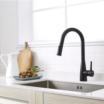 China US Market Pull-Out Single Handle 2 Ways Mat Black Kitchen Faucet Pull Out Steel 304/316 Material Tap for sale