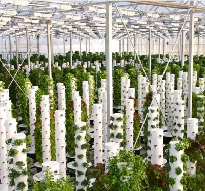 China Medium Hydroponic System with Fluorescent Lighting and Automatic Ventilation for sale