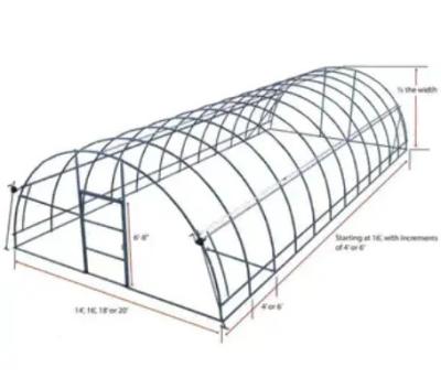China PE Plastic Film Poly Tunnel Greenhouse Single Span For Tomato Vegetable Flower for sale