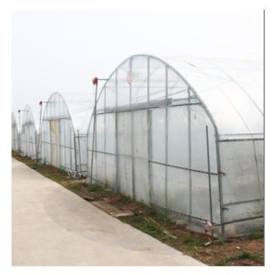 China Agricultural Galvanized Tunnel Greenhouse Plastic Tomato Greenhouse With Bolt Connection for sale