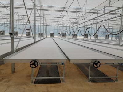 China ABS Ebb And Flow Tray Greenhouse Benches Length 8ft 10ft 12ft Customized for sale