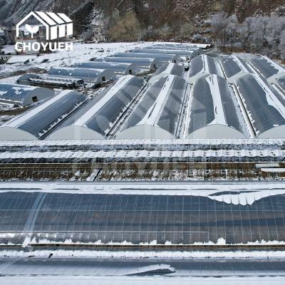 China UV Protection Heat Insulation Solar Greenhouse For Optimal Crop Conditions for sale