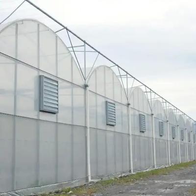 China Commercial Plastic Film Greenhouse Vegetable Farming With Ventilation System for sale
