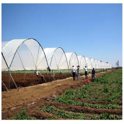 China Wind Resistance Multi Span Plastic Film Tunnel Greenhouse With Ventilation System for sale