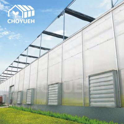 China Fire Resistant Polycarbonate Sheet Greenhouse OEM ODM for sale