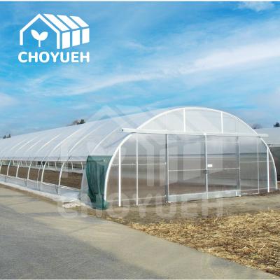 China Roof Ventilation Single Tunnel Greenhouse Flower Farm Greenhouse 10*30m for sale