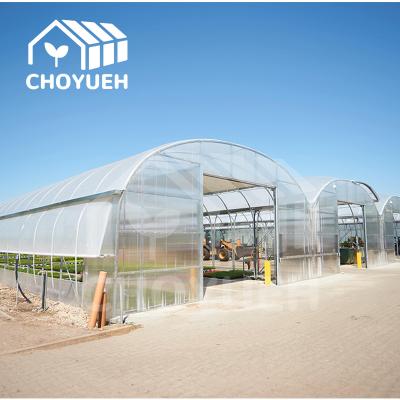 China Single Span Tunnel Greenhouse Thickness 12/15/18/20 Microns for sale