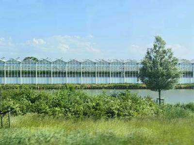 China Easy Installation Glass Greenhouse with Temperature-Resistance and Design for sale