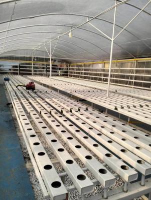 China Automatic Temperature Control Hydroponic System for Oxygenation and Manual Monitoring for sale
