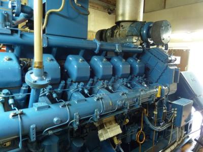 China Power Generation 1000KVA Diesel Generator Grey Color for sale