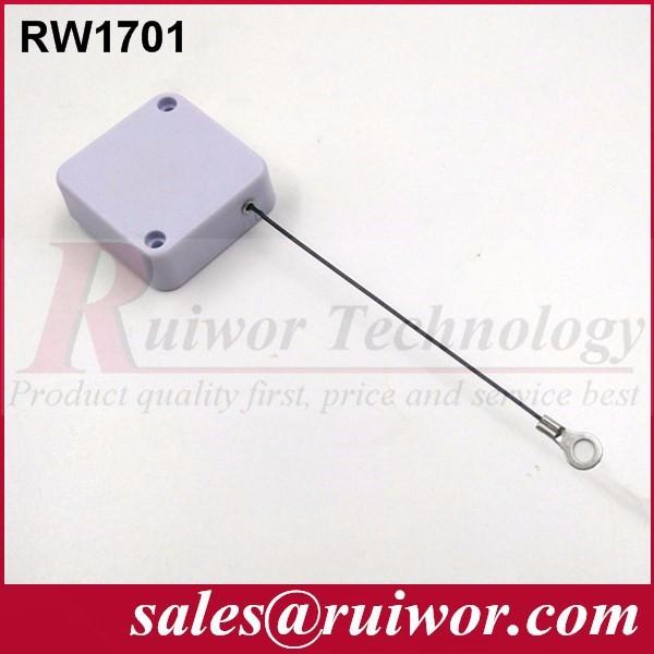 RW1701 .jpg