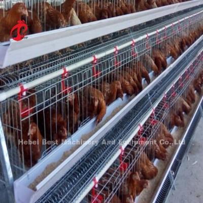 China A Type 4 Tiers Silver Galvanized Layer Battery Cage System  Adela for sale