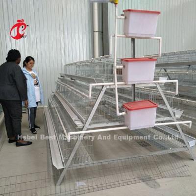 China A Type Chicken 128 birds Poultry Chicken Battery Cage System Hot Dipped Galvanized For Nigeria Farm  Doris for sale