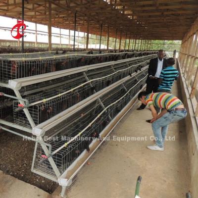 China 1 Layer 2.8mm Battery Cage System For Layers  In Africa Star for sale