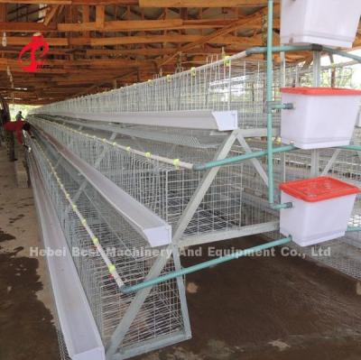 Chine 200 oiseaux qu'un type système de cage de batterie de volaille pour des poussins de poulets à rôtir de couches se tiennent le premier rôle à vendre