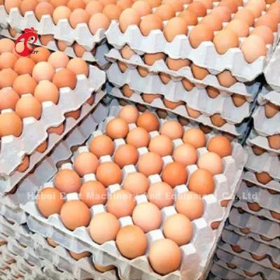 China Tipo sistema de la gestión A de las aves de corral de la jaula de batería de la capa en la granja de pollo de colocación de 5000 huevos Mia en venta