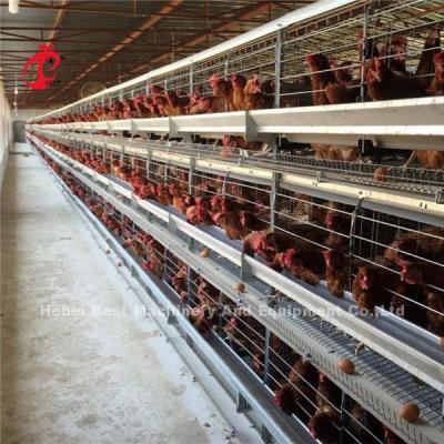 China China Nigeria Factory Layer Broiler Poultry Chicken Rearing Cage For Sale Ada for sale