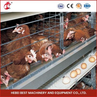 China Galvanized Steel Poultry Battery Chicken Cage System For Layer Farm Ada for sale