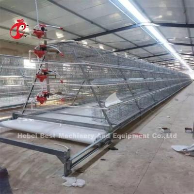 China A Type 3.8mm Layer Battery Cage System 80-100 Kg Weight With Feeder Emily Wang for sale