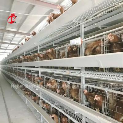 China Angle Iron Poultry Breeding Cage System For Nigeria Zambia Kenya Ghana Cameroon Sudan Gambia Nambia Market for sale