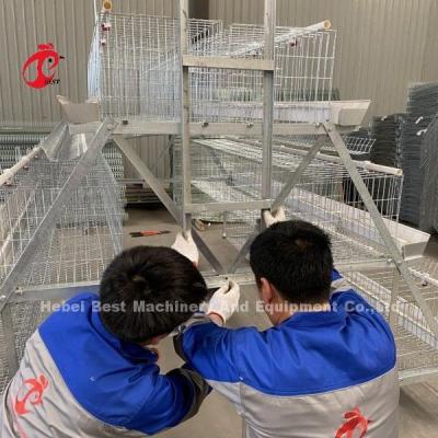 Chine White Feeder Trough Chicken Cage Hot Dipped Galvanized Automatic Battery Cage For 34000 Birds Layer Farm Doris à vendre