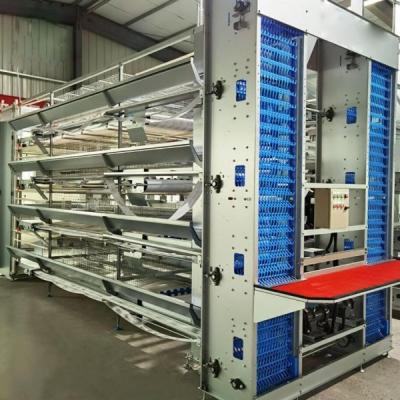 Китай Galvanized Steel 96-200 Birds Poultry Battery Cage System For Layer Farm Emily Wang продается