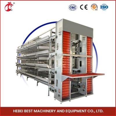 China Large Capacity Galvanized Steel Cage System For Poultry Farm Mia for sale