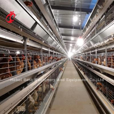 China Automatic Layer Battery Cage System H Frame For 30000 Birds Poultry Farm Emily Wang à venda