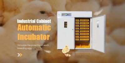 China Industrial Automatic Egg Hatching Incubator Double-Layer Observation Window 220v for sale