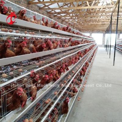 China Professional Layer Battery Cage Install In Nigeria  Automatic Chicken Cage Doris for sale