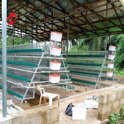 China Nigeria Warehouse Premium And Deluxe Poultry Battery Cage System For Layer Chickens  Sandy for sale