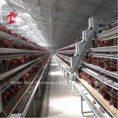 China A Type Automatic Layer Cage System With Poultry Equipment In Nigeria Iris for sale