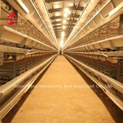 China Full Automatic H Type Battery Cages Hens Is Hot Sale In Africa Market Mia for sale