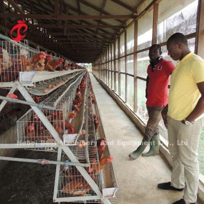 China Most Economical Chicken Layer Battery Cage Poultry Farming For 5000/10000/20000 Birds Star for sale