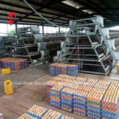 China Turnkey Project Automatic Poultry Battery Cage System 3 Tiers 450cm2 Star for sale