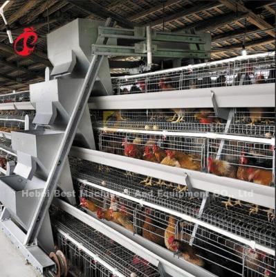 China A Type Automatic Poultry Farming Cage System For Layers Star for sale