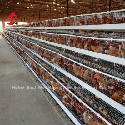 China Discount A Type Poultry Battery Cage For Layer Sale 160 birds In Zambia Adela for sale