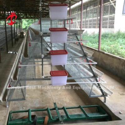 China Automatic Layer Battery Cage System Commercial Layer Chicken Cage 3 Tiers Hot Sale Rose for sale