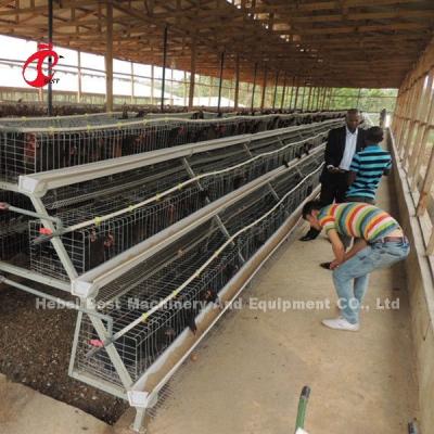 China A Type 3 Tiers Layer Chicken Battery Cages 120 Birds 450cm2 Star for sale