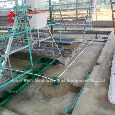 China Raspador reciclado del sistema de proceso del abono de 380V 8kw para el iris de la granja avícola en venta