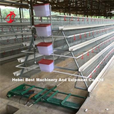 China 4 Tiers Poultry Battery Cage System for Layers Farm Ada for sale