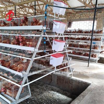China 4 Tiers Layer Chicken Battery Cages Automatic In Uganda Ada for sale