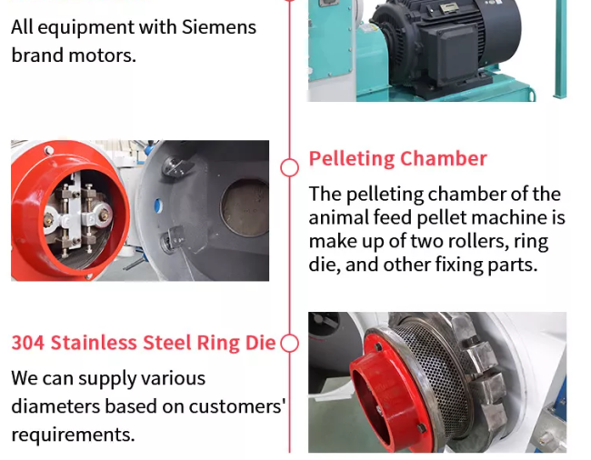 Pig Fish Animal Feed Pellet Mill Machine 4mm 2mm 6mm Ring Die Animal Feed Pellet 3