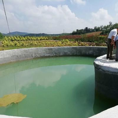 China Capa a base de agua multifuncional del OEM para la pintura de la charca de la piscina interior y de la fritada de pescado en venta