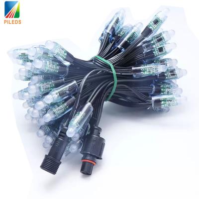 China 12MM WS2811 RGB Pixel String Lights Programmable Addressable For Christmas Tree for sale