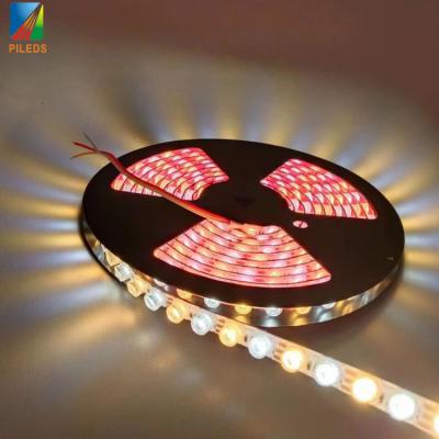 China 3000K 6000K LED Wall Washer Lights Outdoor With CRI 80 30 Degree Beam Angle for sale
