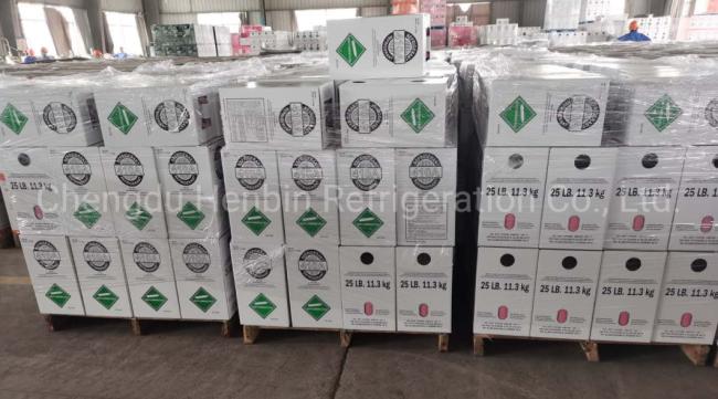 R134A Net. Wt. 1kg Two Slices Can Refrigerant Gas for Car A/C
